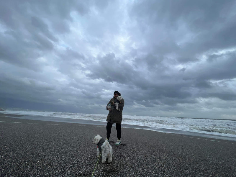 Where do you get your ideas from?