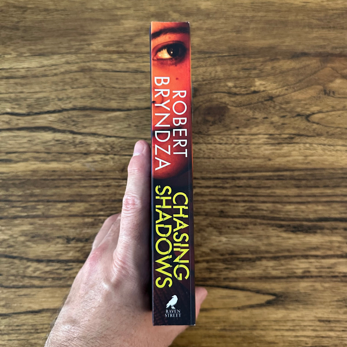 Chasing Shadows (Detective Erika Foster #9)