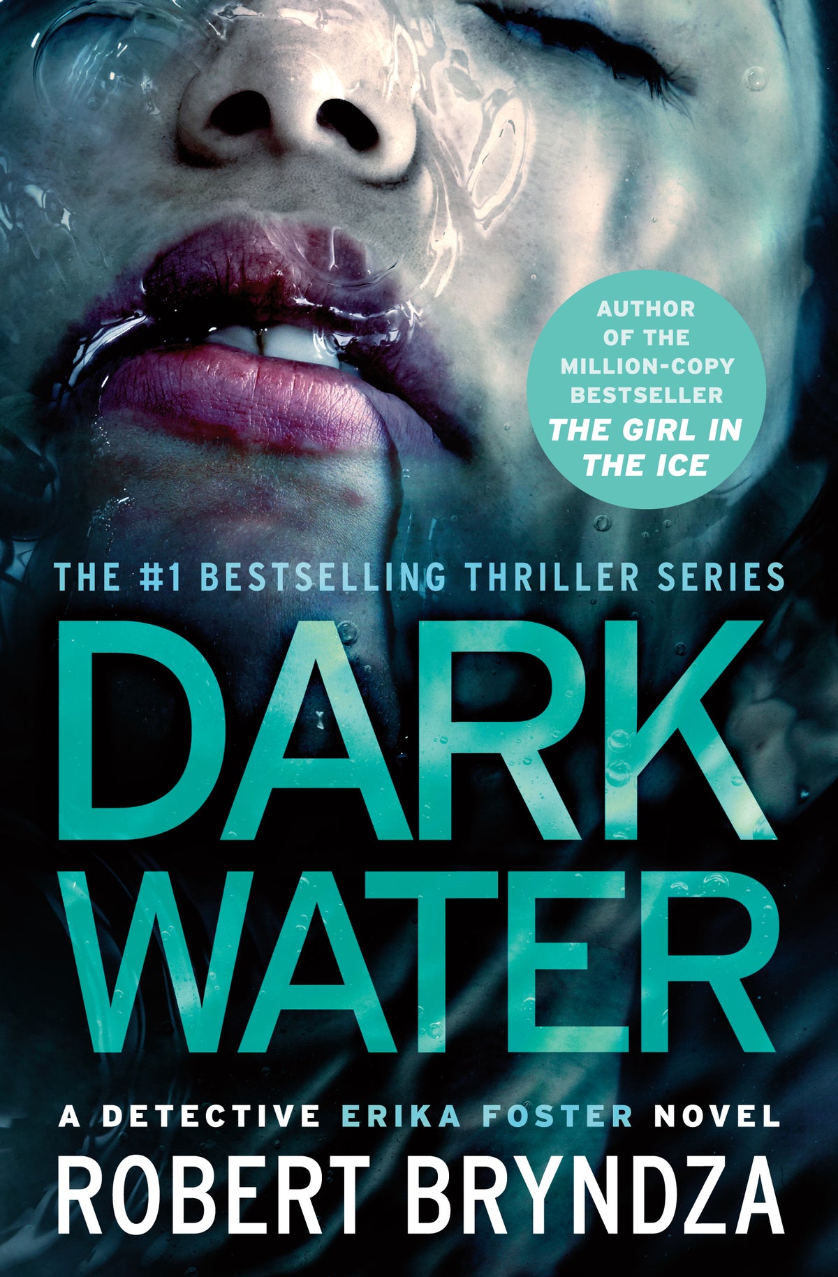 Dark Water (Detective Erika Foster #3)