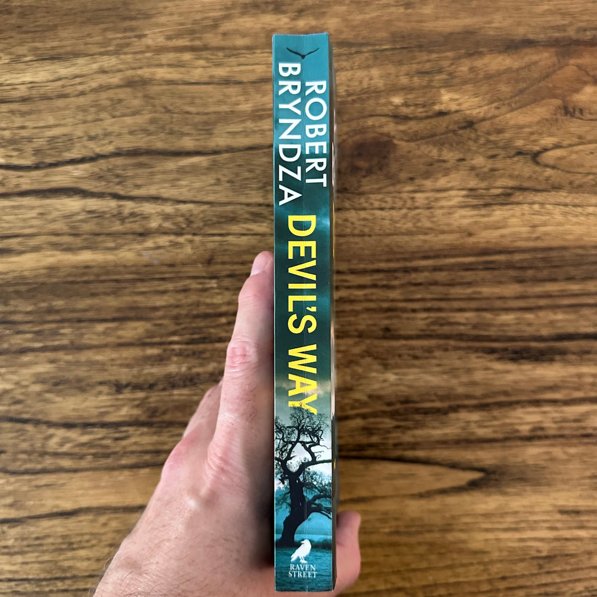 Devil's Way (Private Investigator Kate Marshall #4)