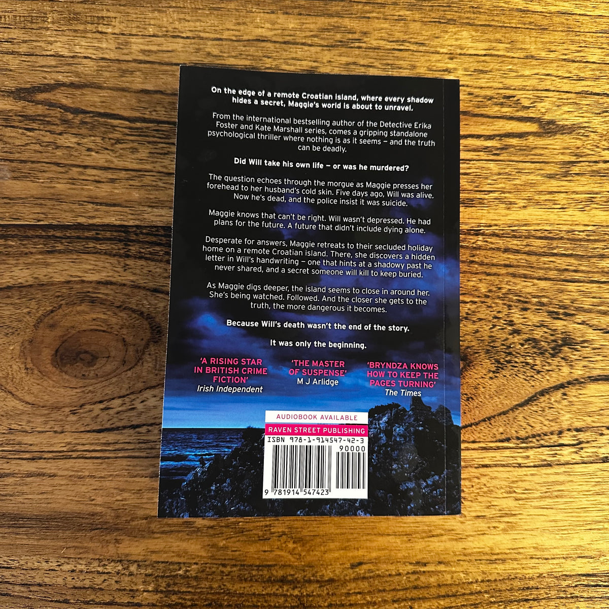 Fear The Silence (Stand alone crime thriller)