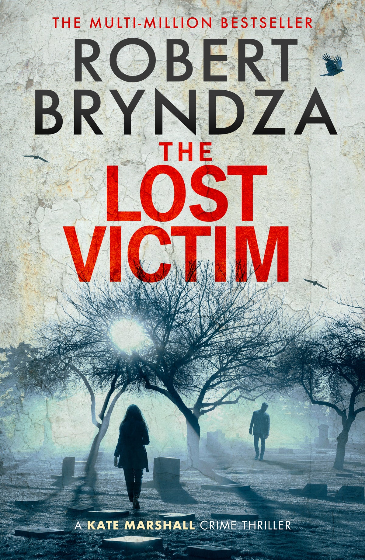 Book cover of 'The Lost Victim' by Robert Bryndza with a silhouette of a person walking through a misty cemetery.
